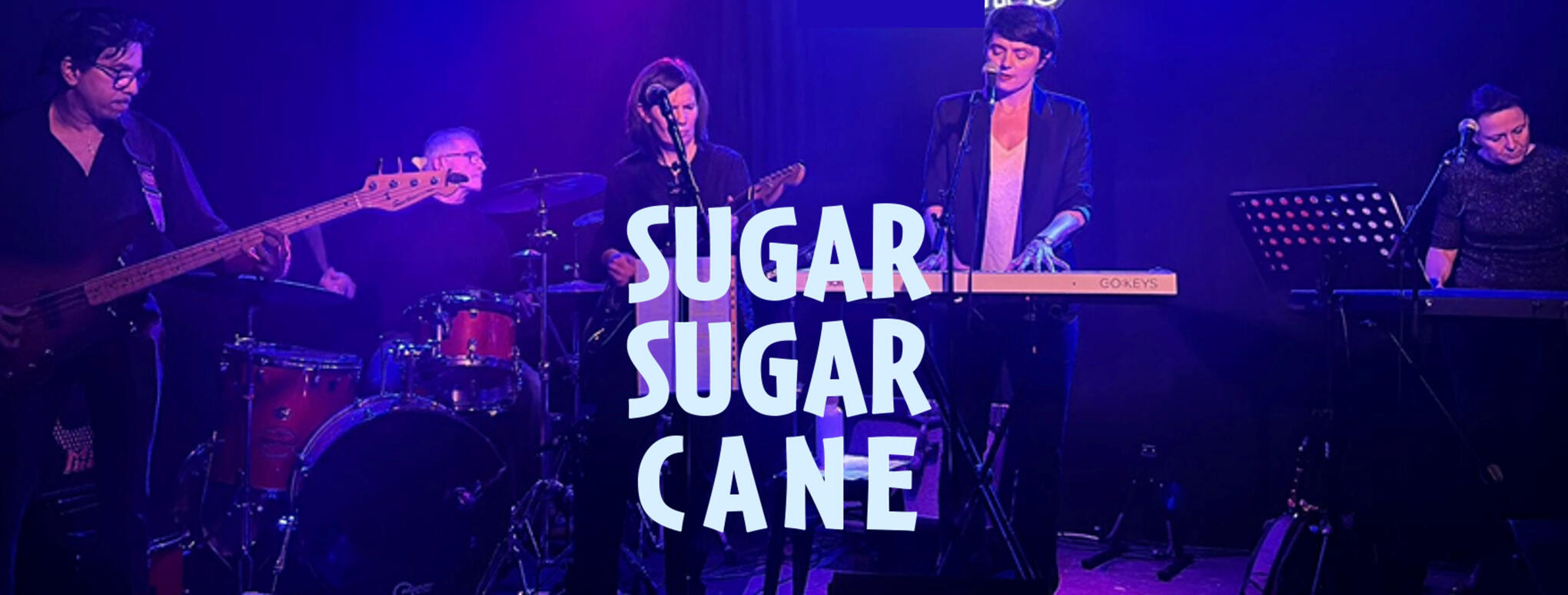 SugarSugarCane Paris Sugar Sugar Cane